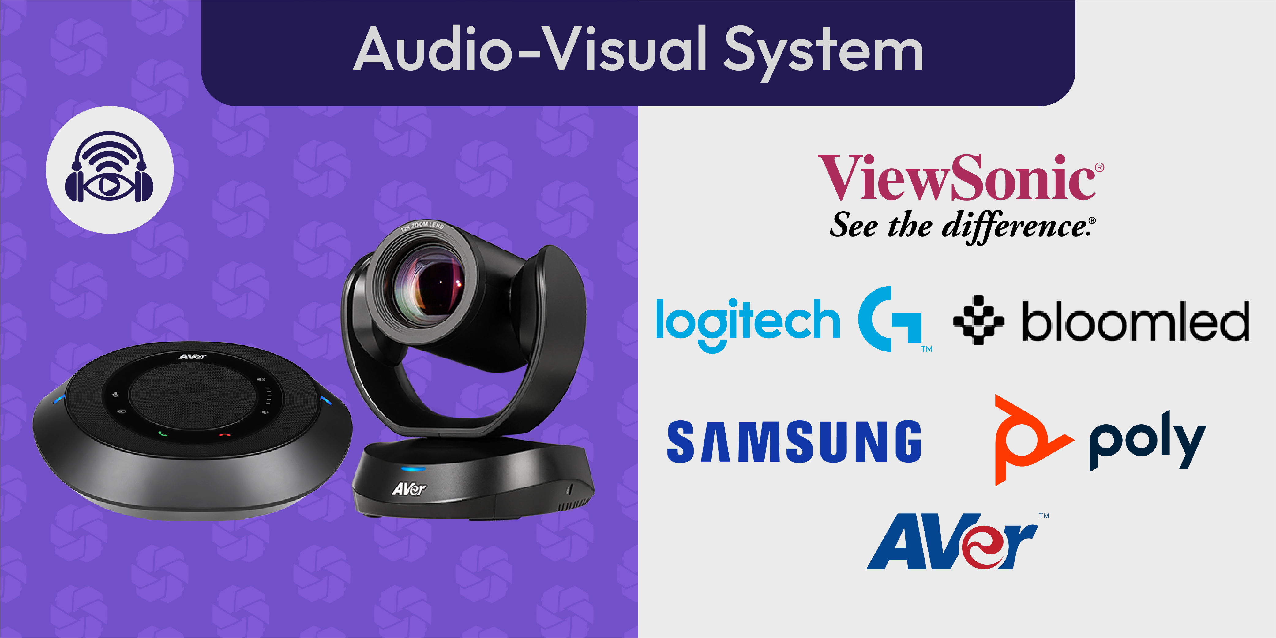 Professional Audio & Visual Systems
