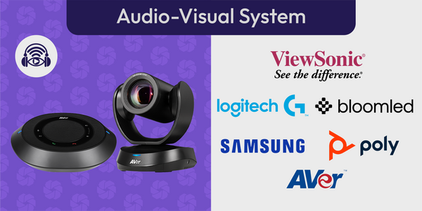 Professional Audio & Visual Systems